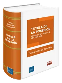 Portada de Tutela de la Posesión